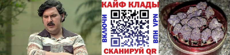 ГАШ Берёзовка