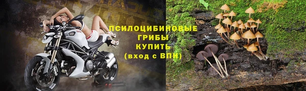 дурь Богородицк