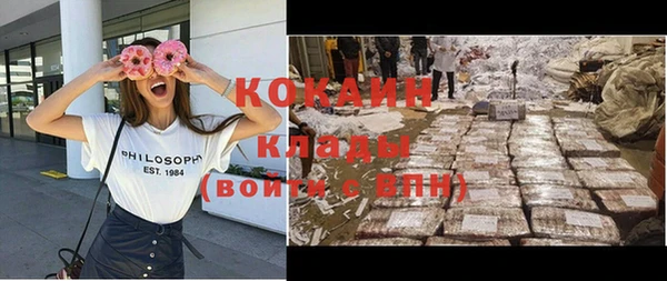дурь Богородицк