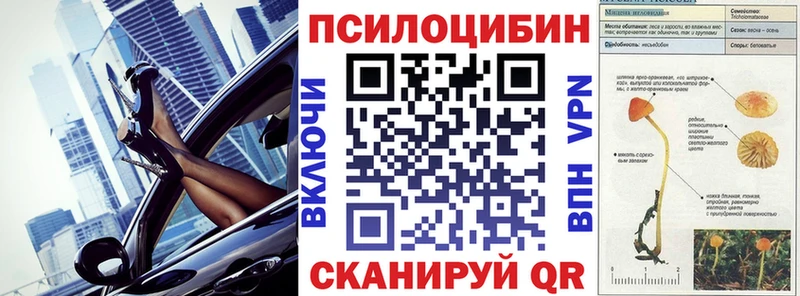 как найти наркотики  Берёзовка  Галлюциногенные грибы прущие грибы 